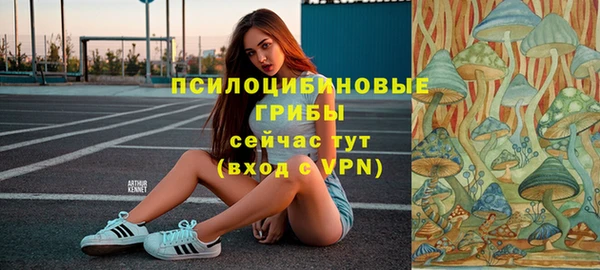СК Алексеевка