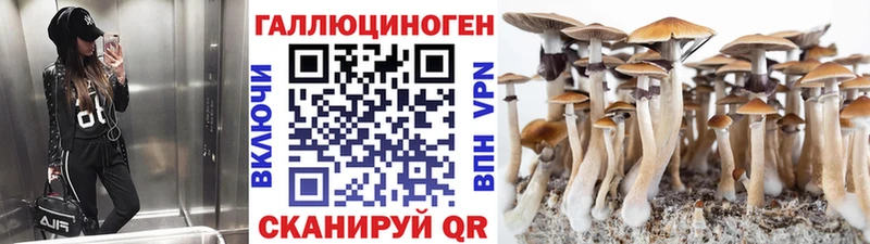 Псилоцибиновые грибы Psilocybine cubensis  цены   ОМГ ОМГ ссылка  Завитинск 